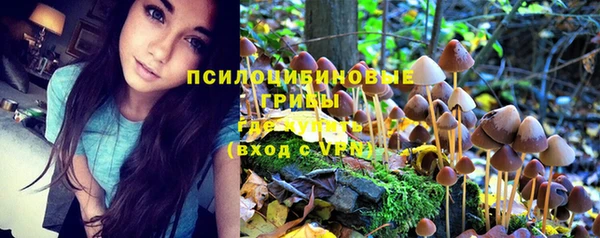 амф Беломорск