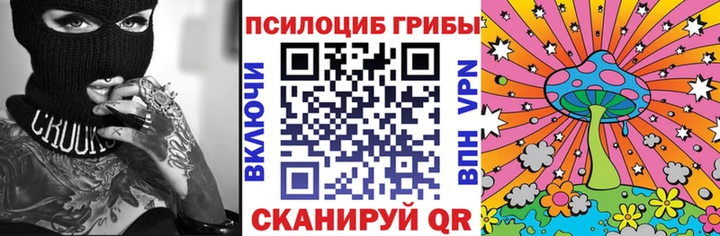 Галлюциногенные грибы Psilocybe  Городовиковск 